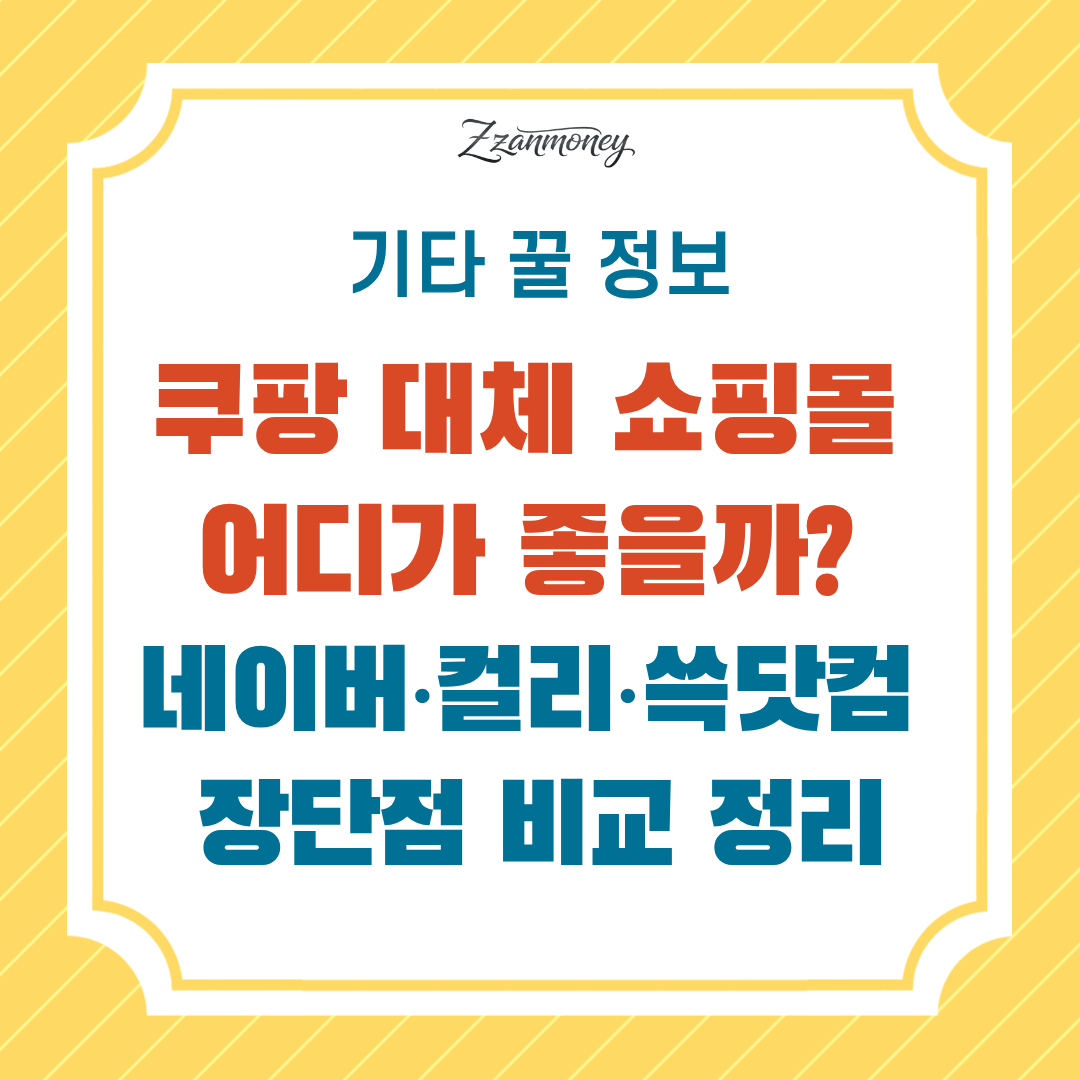 쿠팡 대체 쇼핑몰