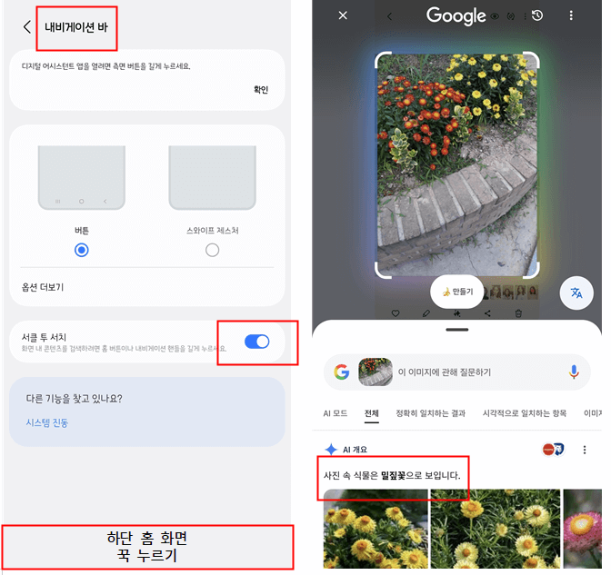 갤럭시 사진으로 꽃 검색 이미지