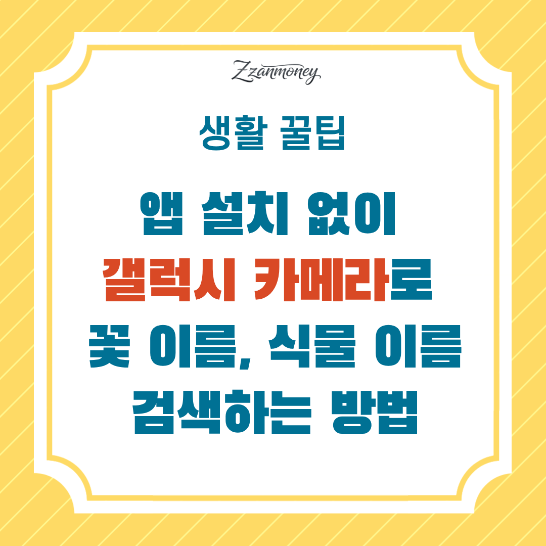 앱 설치 없이 갤럭시 카메라로 꽃 이름 찾기-썸네일